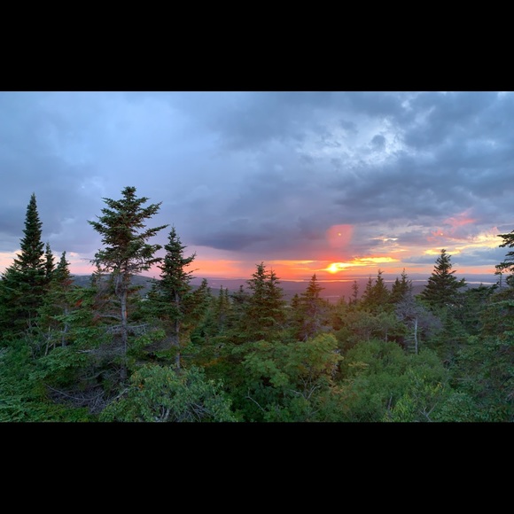 Meet your Posher, Johnny - Picture 1 of 1